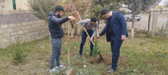 “Gələcəyimiz üçün ağac əkək” devizi ilə ağacəkmə aksiyası keçirilib