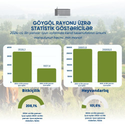 Göygöl rayonu üzrə statistik göstəricilər