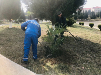 Göygöl şəhərinin ekoloji tarazlığınının qorunması diqqət mərkəzindədir