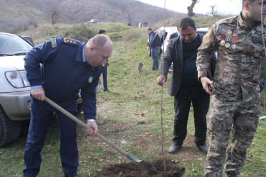 Zəfər günü ilə əlaqədar Göygöl rayonunda ağacəkmə aksiyası təşkil olunub