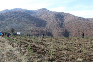 Göygöl rayonunda “Türk dövlətləri milli ağaclandırma günü” münasibəti ilə ağaçəkmə aksiyası keçirilib