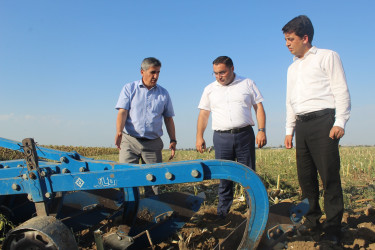 Göygöl rayonunda taxıl biçini uğurla başa çatmış, digər təsərrüfatlarda işlər davam etdirilir