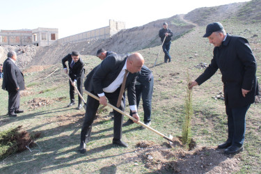 “Heydər Əliyev İli” çərçivəsində Göygöldə növbəti ağacəkmə aksiyası keçirilib