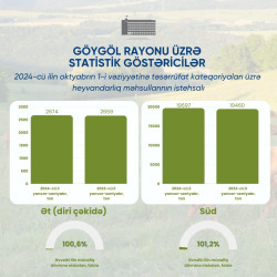 Göygöl rayonu üzrə statistik göstəricilər