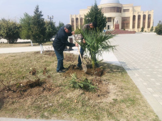 Göygöl şəhərinin ekoloji tarazlığınının qorunması diqqət mərkəzindədir