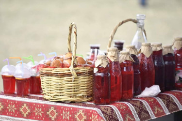 Göygöldə keçirilən  Birinci Moruq Festivalı bu gün başa çatdı