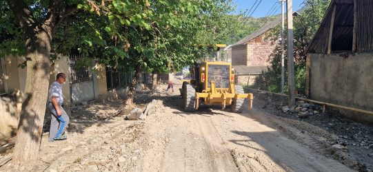 Göygöl rayonun Topalhəsənli kənddaxili yolları təmir olunur