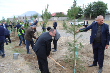 Göygöl rayonunda şəhidlərin xatirəsinə həsr olunmuş əğacəkmə kampaniyası təşkil olunub