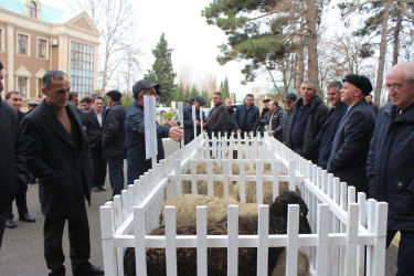 “Pirəsora” qoyun cinsinin təqdimatı keçirilib