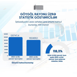 Göygöl rayonu üzrə statistik göstəricilər