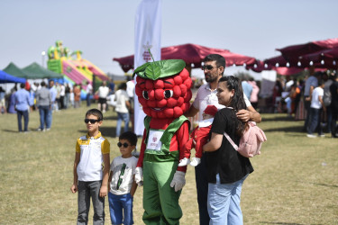 Göygöldə ilk dəfə olaraq “Moruq Festivalı” keçirilir