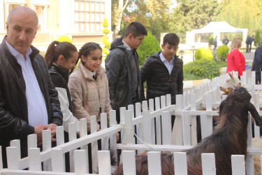 İcra hakimiyyətinin başçısı Elvin Paşayev  fermerlərlə görüş keçirib