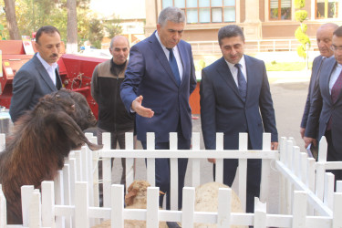 İcra hakimiyyətinin başçısı Elvin Paşayev  fermerlərlə görüş keçirib