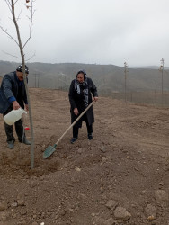 “Gələcəyimiz üçün ağac əkək” devizi ilə ağacəkmə aksiyası keçirilib