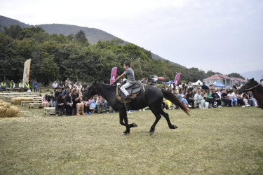 Göygöldə keçirilən  Birinci Moruq Festivalı bu gün başa çatdı