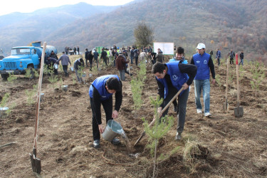 Göygöl rayonunda “Türk dövlətləri milli ağaclandırma günü” münasibəti ilə ağaçəkmə aksiyası keçirilib