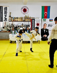 Göygöl rayonunda Ümummilli Lider Heydər Əliyevin anadan olmasının 102-ci illiyinə həsr olunmuş müxtəlif idman yarışarı təşkil olunub-09-05-2025