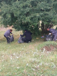 Göygöl rayonunda “Təmiz ölkəm” devizi altında Təmizlik Marafonu keçirildi