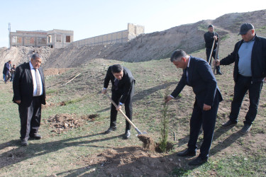 “Heydər Əliyev İli” çərçivəsində Göygöldə növbəti ağacəkmə aksiyası keçirilib