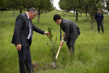 Göygöl rayonunda “Yaşıl dünya naminə həmrəylik ili”nə həsr olunmuş “Təmiz Göygöl” Gənclərin Forumu və eko-aksiyası keçirilib