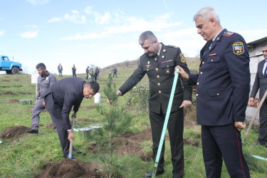 Zəfər günü ilə əlaqədar Göygöl rayonunda ağacəkmə aksiyası təşkil olunub