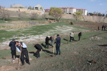 “Heydər Əliyev İli” çərçivəsində Göygöldə növbəti ağacəkmə aksiyası keçirilib