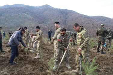 Göygöl rayonunda “Türk dövlətləri milli ağaclandırma günü” münasibəti ilə ağaçəkmə aksiyası keçirilib