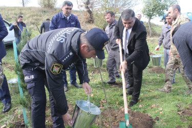 Zəfər günü ilə əlaqədar Göygöl rayonunda ağacəkmə aksiyası təşkil olunub