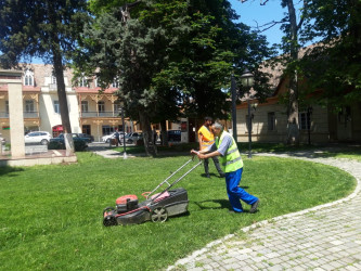 Göygöl şəhərinin təmizliyi və yaşıllığı göz oxşayır