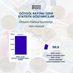 Göygöl rayonu üzrə statistik göstəricilər