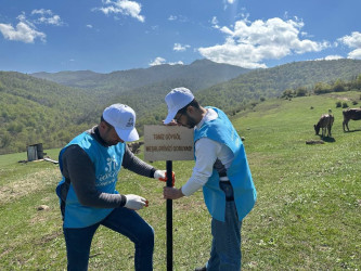 Göygöl rayonu Köşkü kənd ərazisində yerləşən meşə massivində “Təmiz Göygöl” adlı təmizlik aksiyası keçirildi