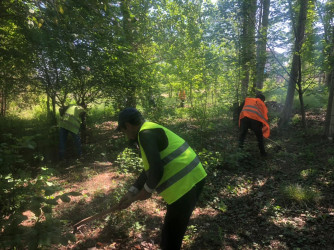 Aşıq Şəmşirin adını daşıyan parkda iməcilik işləri aparılıb