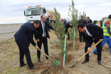 Göygöl rayonunda şəhidlərin xatirəsinə həsr olunmuş əğacəkmə kampaniyası təşkil olunub