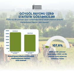 Göygöl rayonu üzrə statistik göstəricilər