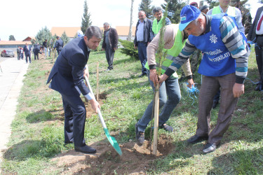 “Heydər Əliyev İli” çərçivəsində Göygöldə növbəti ağacəkmə kampaniyası təşkil olunub