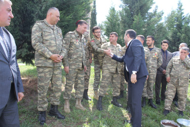 “Heydər Əliyev İli” çərçivəsində Göygöldə növbəti ağacəkmə kampaniyası təşkil olunub