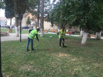 Göygöl şəhərinin təmizliyi və yaşıllığı göz oxşayır