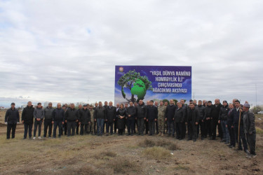 Göygöl rayonunda “Yaşıl dünya naminə həmrəylik ili”çərçivəsində növbəti ağacəkmə aksiyası təşkil olunub