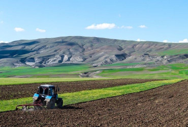 Göygöl rayonunda yazlıq əkin işləri davam etdirilir