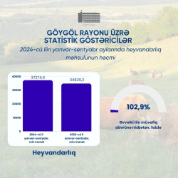 Göygöl rayonu üzrə statistik göstəricilər