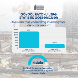 Göygöl rayonu üzrə statistik göstəricilər