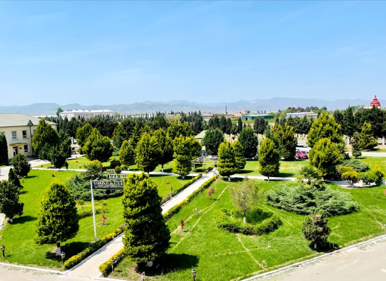 WhatsApp Image 2025-12-17 at 15.14.46.jpeg