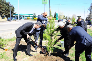 A tree-planting campaign was held in Goygol