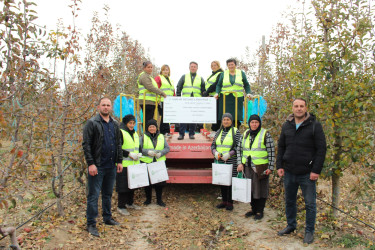 Meyvə bağlarının sığortalanma dövrü başlayıb