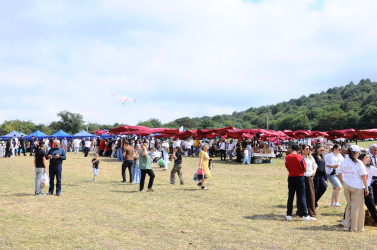 Festival zəngin proqramla yadda qaldı