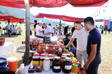 Göygöl rayonunda “III Moruq Festivalı” keçirilir