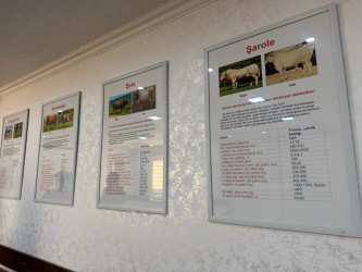 Mərkəzin fəaliyyəti ilə tanışlıq