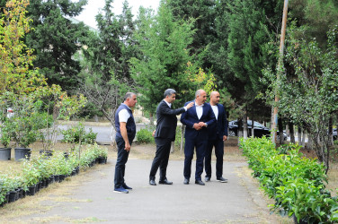 Parklara baxış keçirilib