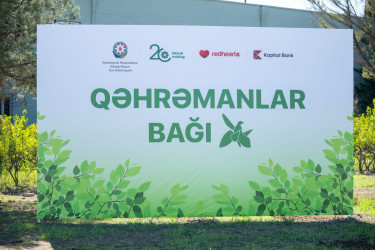 A tree-planting campaign was held in Goygol