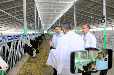 Heyvandarlıq kompleksi ilə tanışlıq